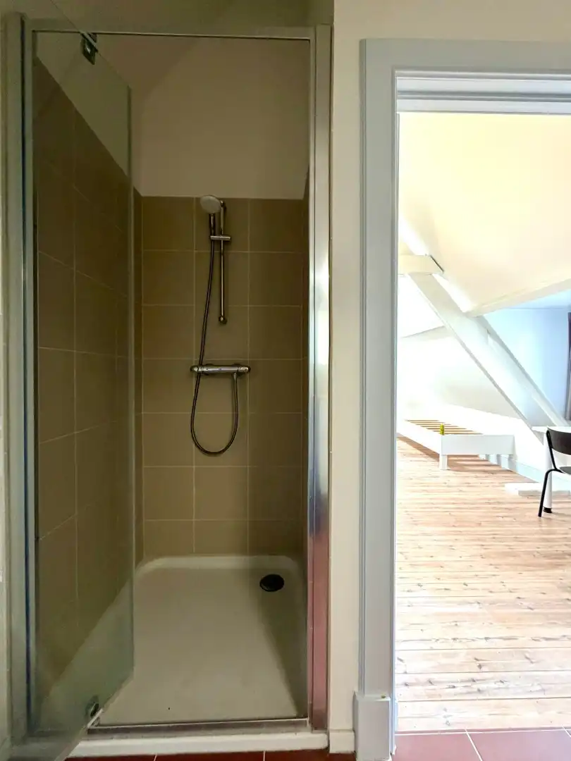 Studentenkamer met eigen badkamer in unieke Stadvilla. foto 6