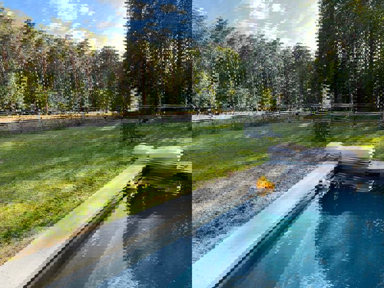 Luxueuze nieuwbouwvilla in een oase van groen  foto 8