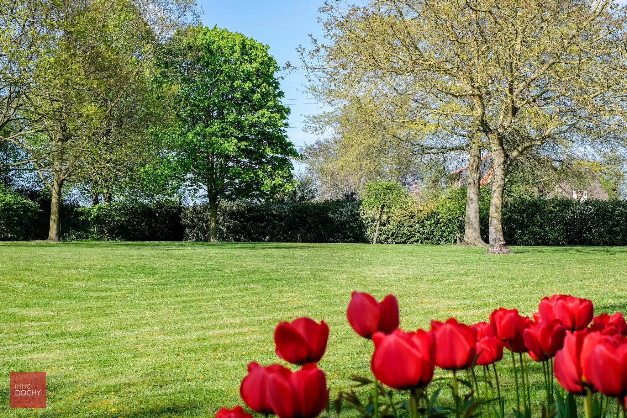 Klassieke discreet gelegen villa met toegangsdreef (grens Waregem) foto 8