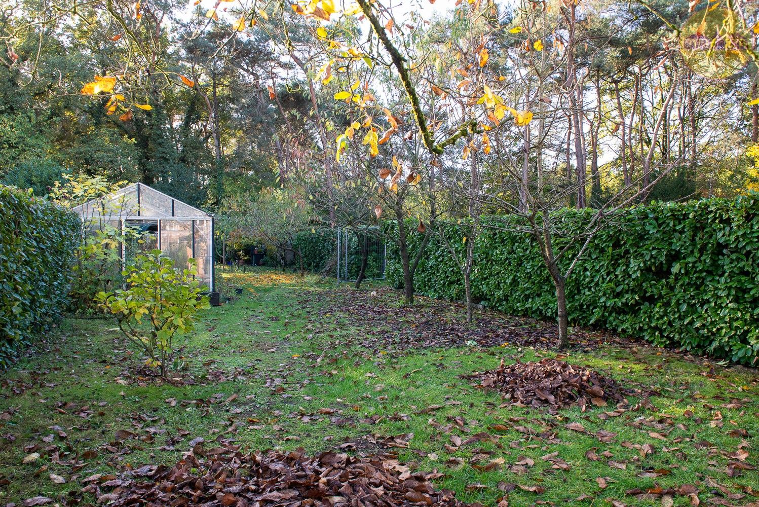 Ruime woning met afzonderlijk appartement op een perceel van 858 m² in Mol. foto 29