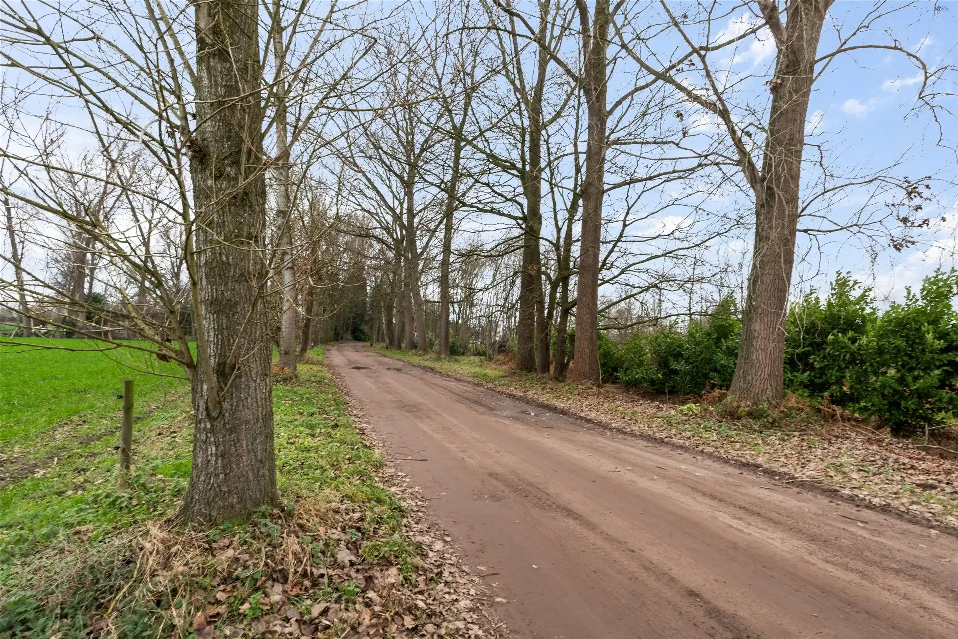 Uniek en rustig vakantieverblijf foto 21