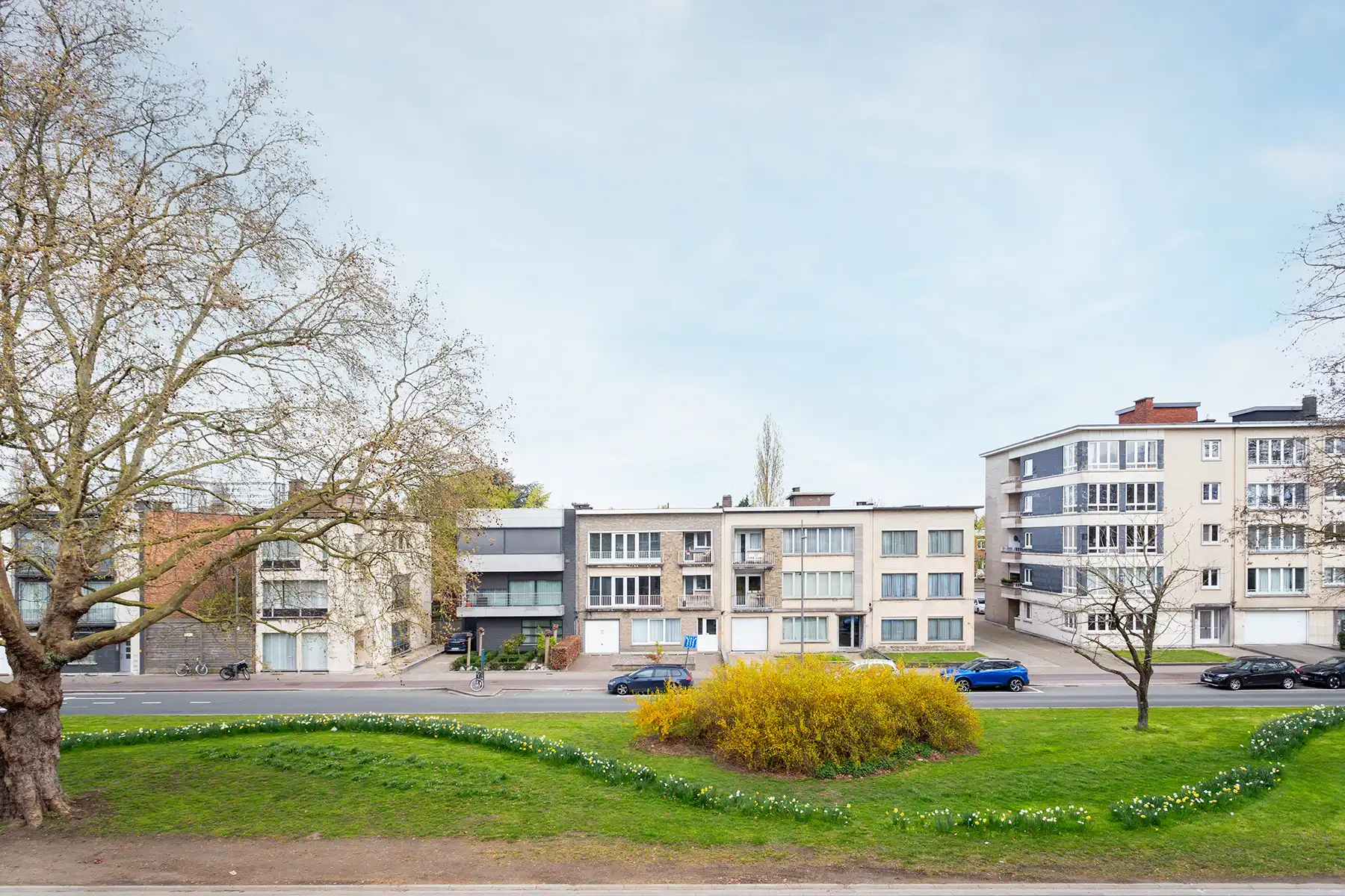 Wilrijk - Gerenov.  2 à 3 slaapkamer app. met terras + P  foto 5