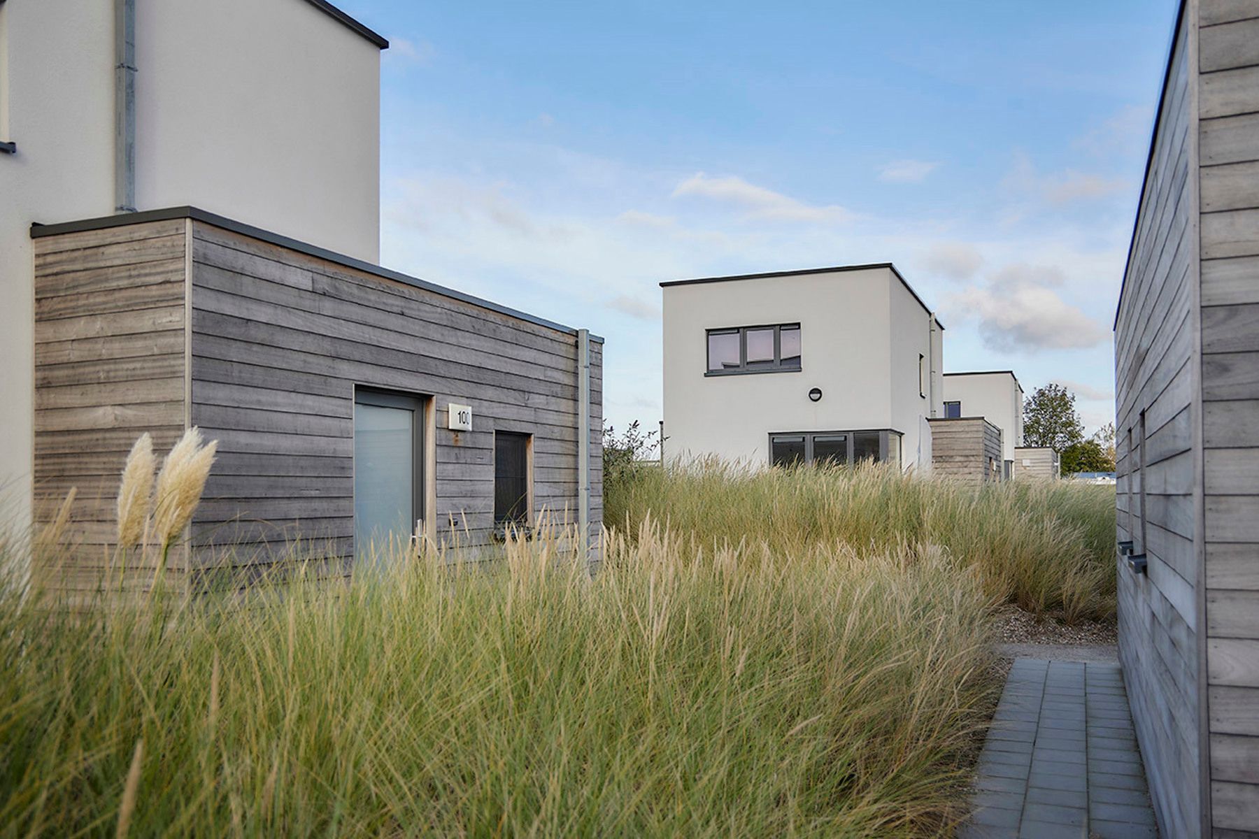 Duinenwoning voor 6 personen foto 8