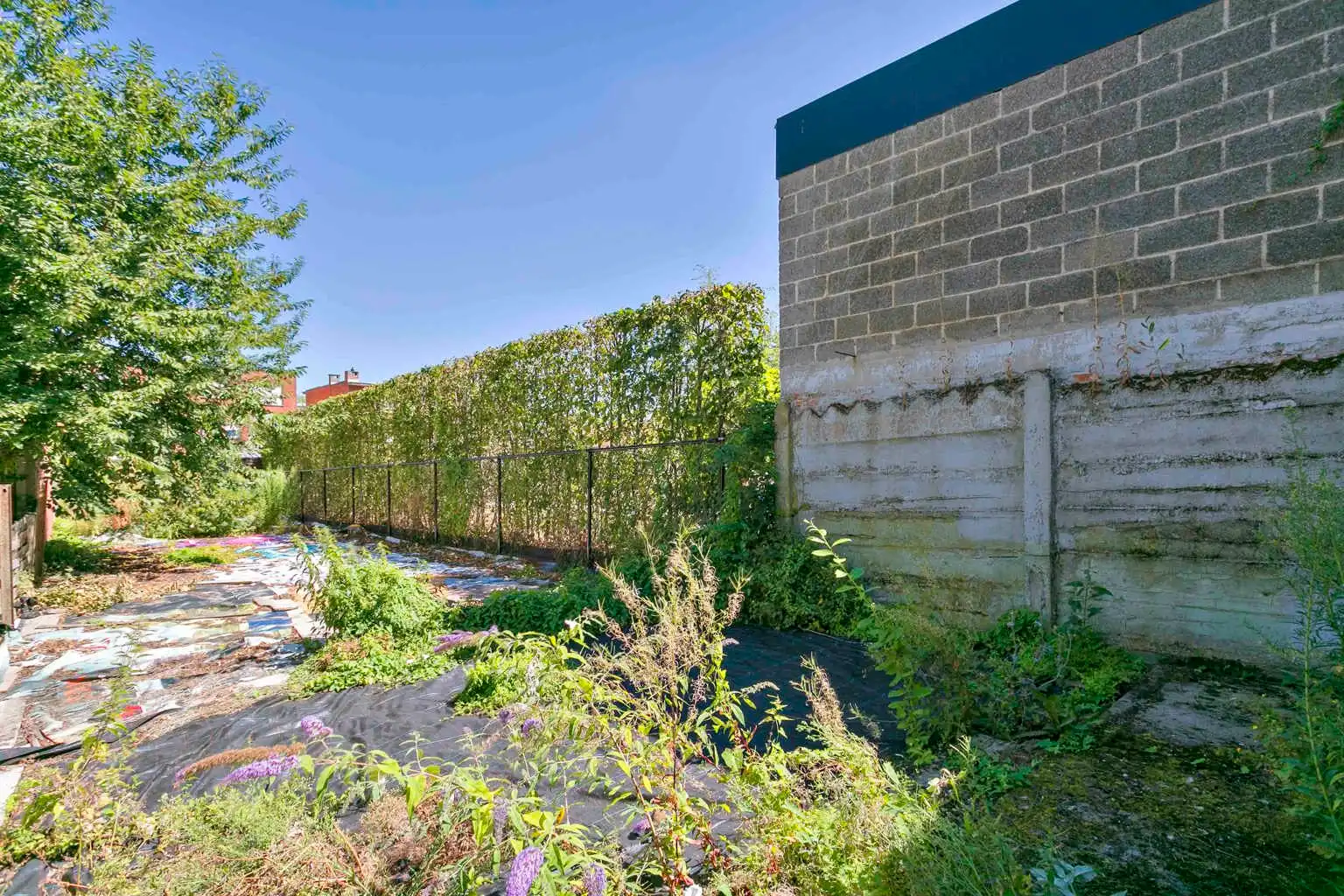 immo DAVID stelt voor: opbrengsteigendom met commercieel glv foto 26