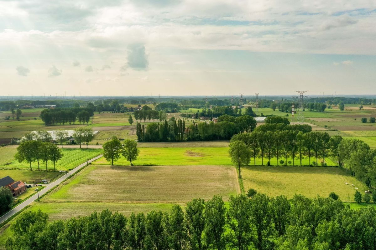 Centraal gelegen hoeve te koop te Kruibeke (Bazel) op circa 1 ha foto 11