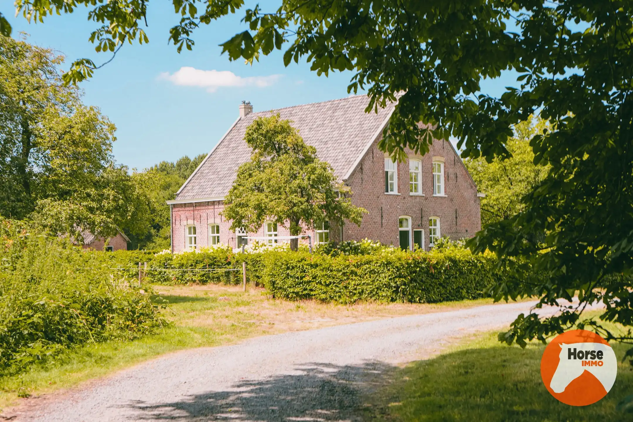 AXEL - Hoeve op een goede locatie met paardenfaciliteiten foto {{pictureIndex}}