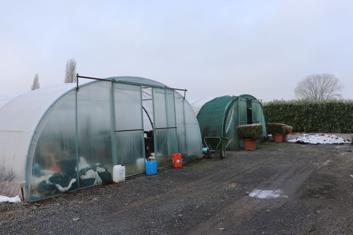 Plantenkwekerij te koop te Zwevegem foto 11