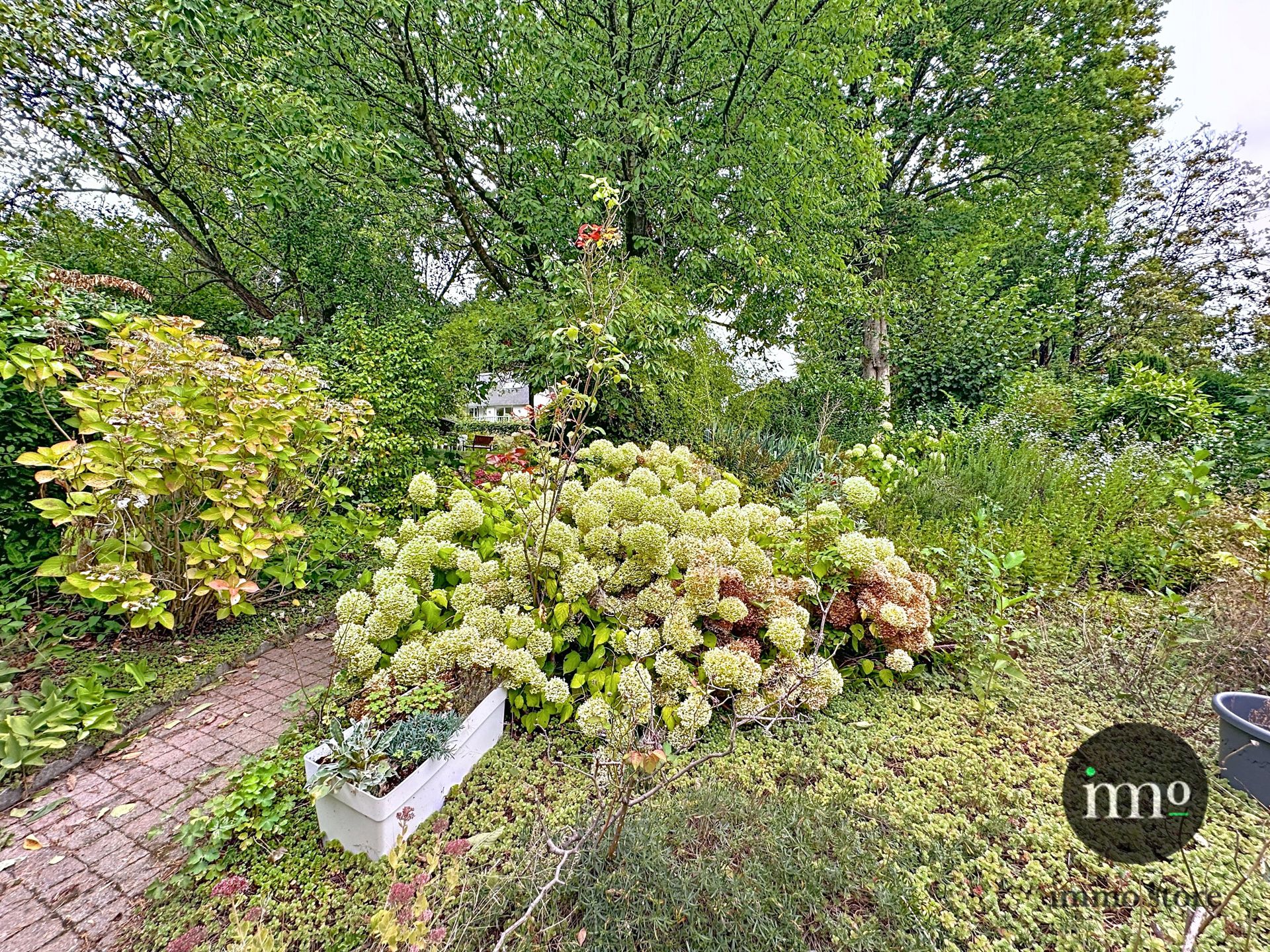 Huis te koop foto 6
