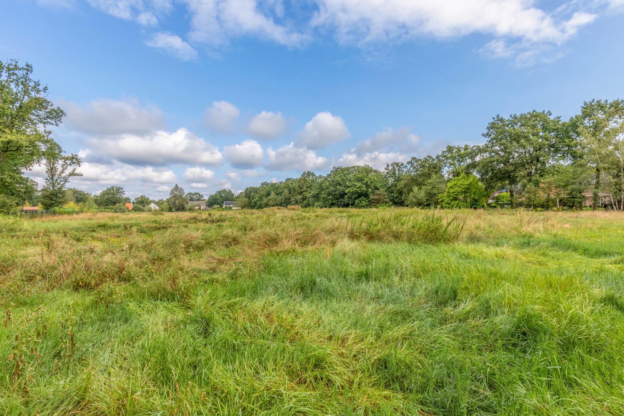 Exclusieve bouwgrond met een oppervlakte van 21.954m² foto 3