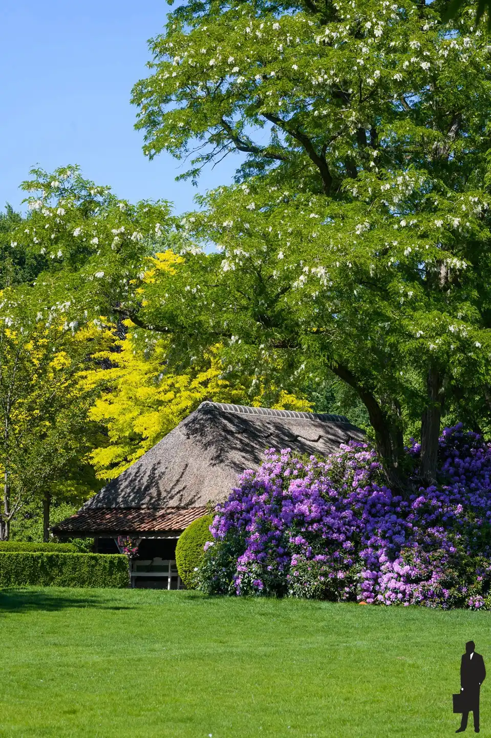 Uitzonderlijk object te Kapellen! foto 15