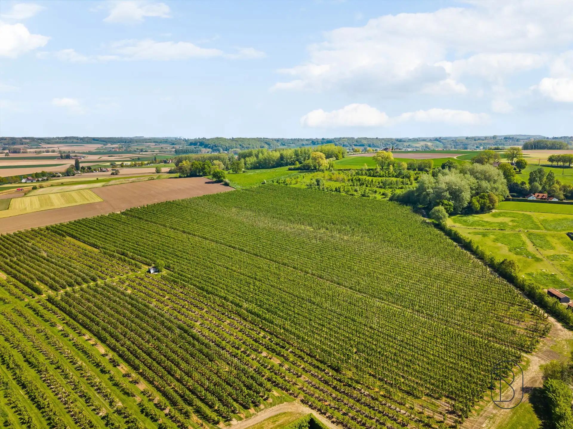 Unieke eigendom op 18 hectare te Kwaremont foto 11