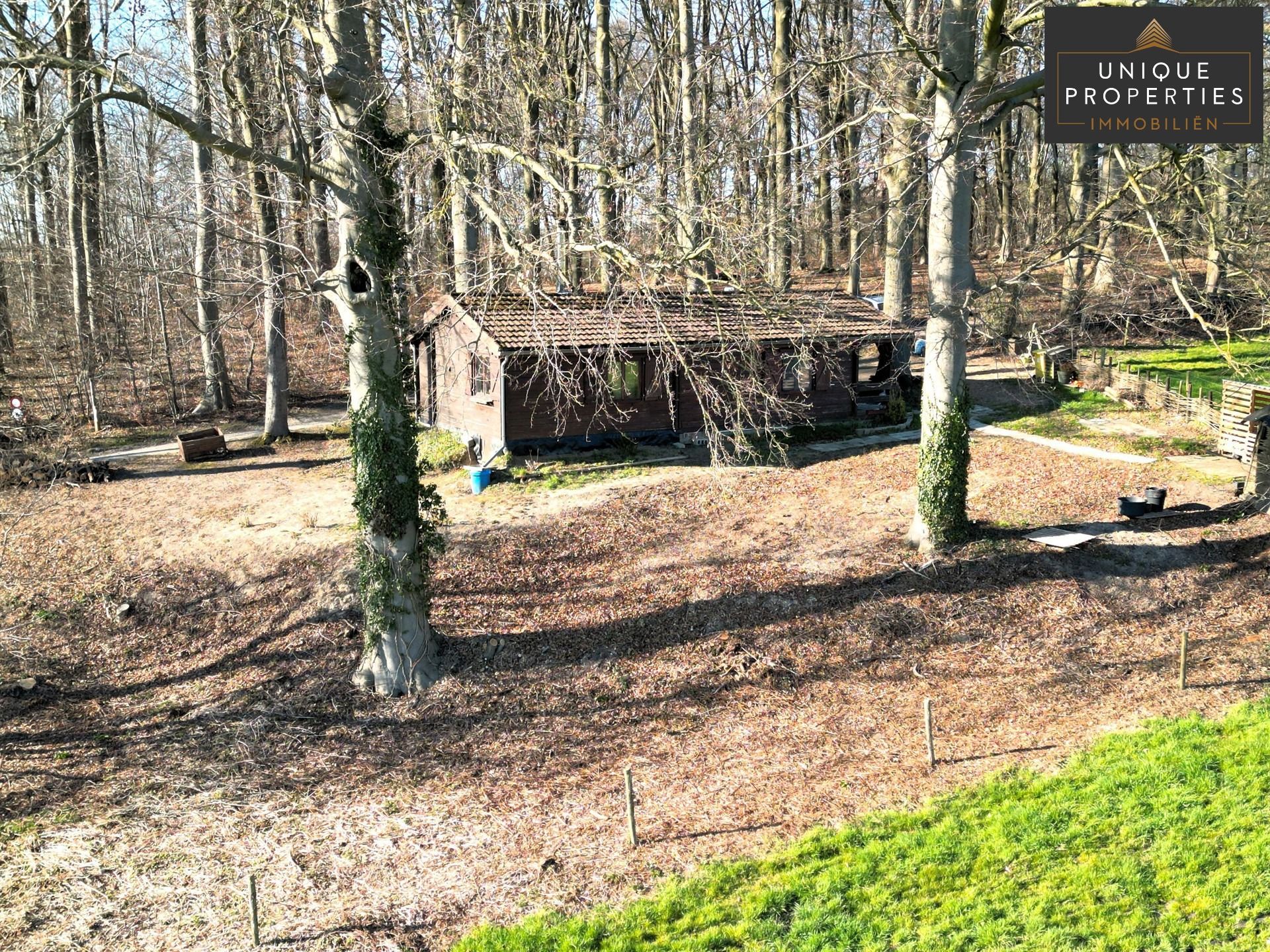 Chalet te koop foto 18
