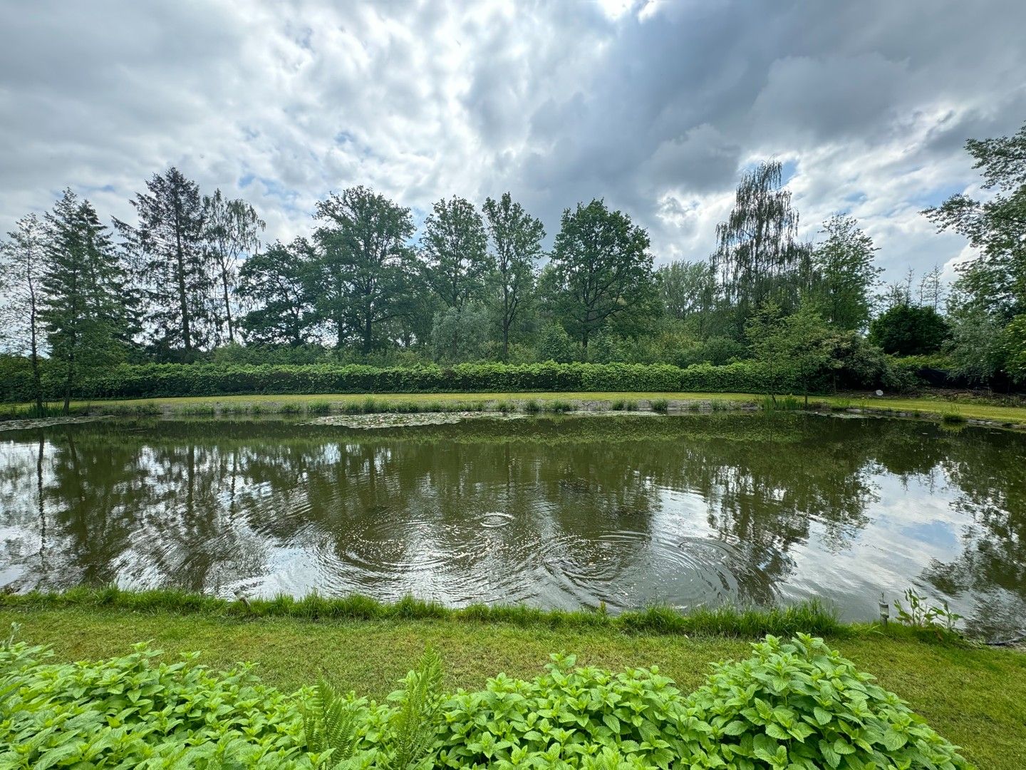 Perceel grond met visvijver te Moerzeke / Hamme foto 7