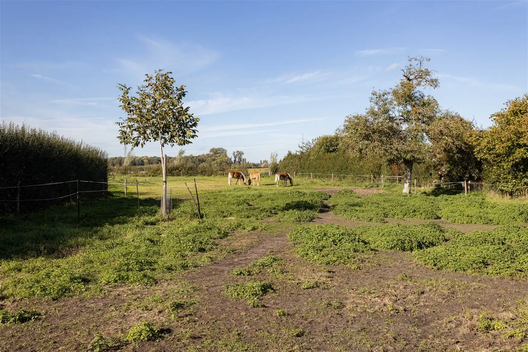 Uniek landelijk domein op 10.550 m² in Zomergem foto 12