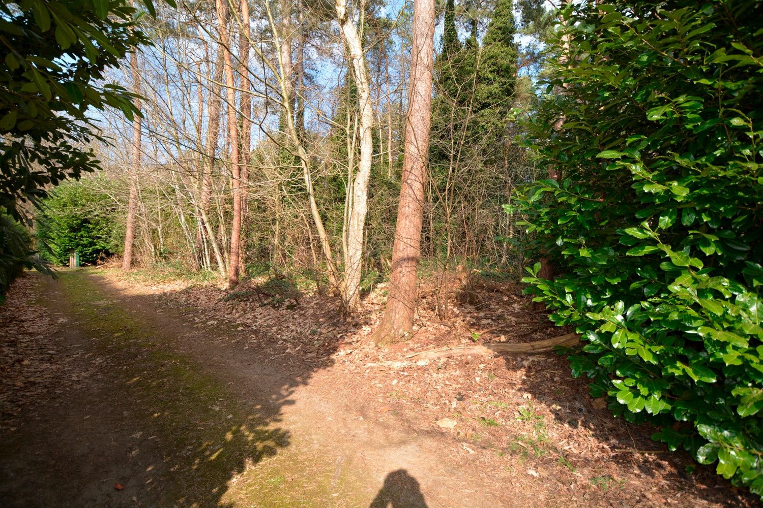 PERCEEL RECREATIEGROND VAN 1.118 m² foto 2