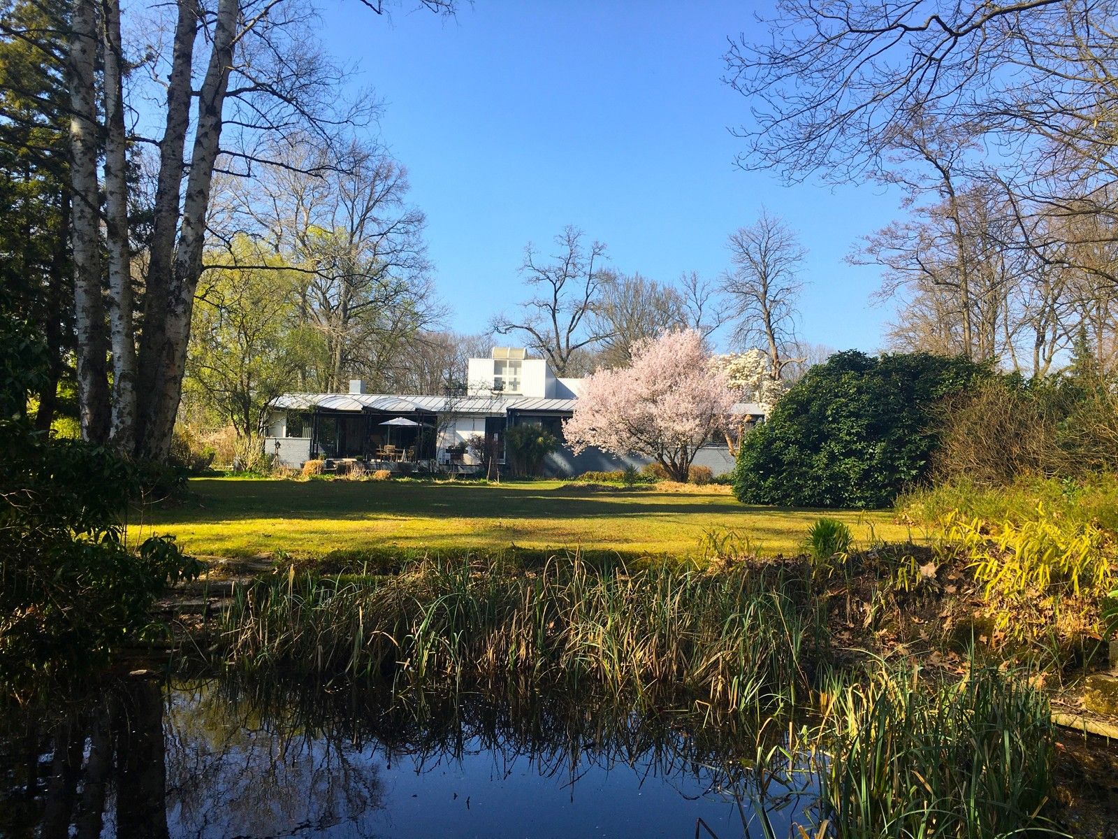 Laagbouwvilla op domein van 4.953 m² foto 21
