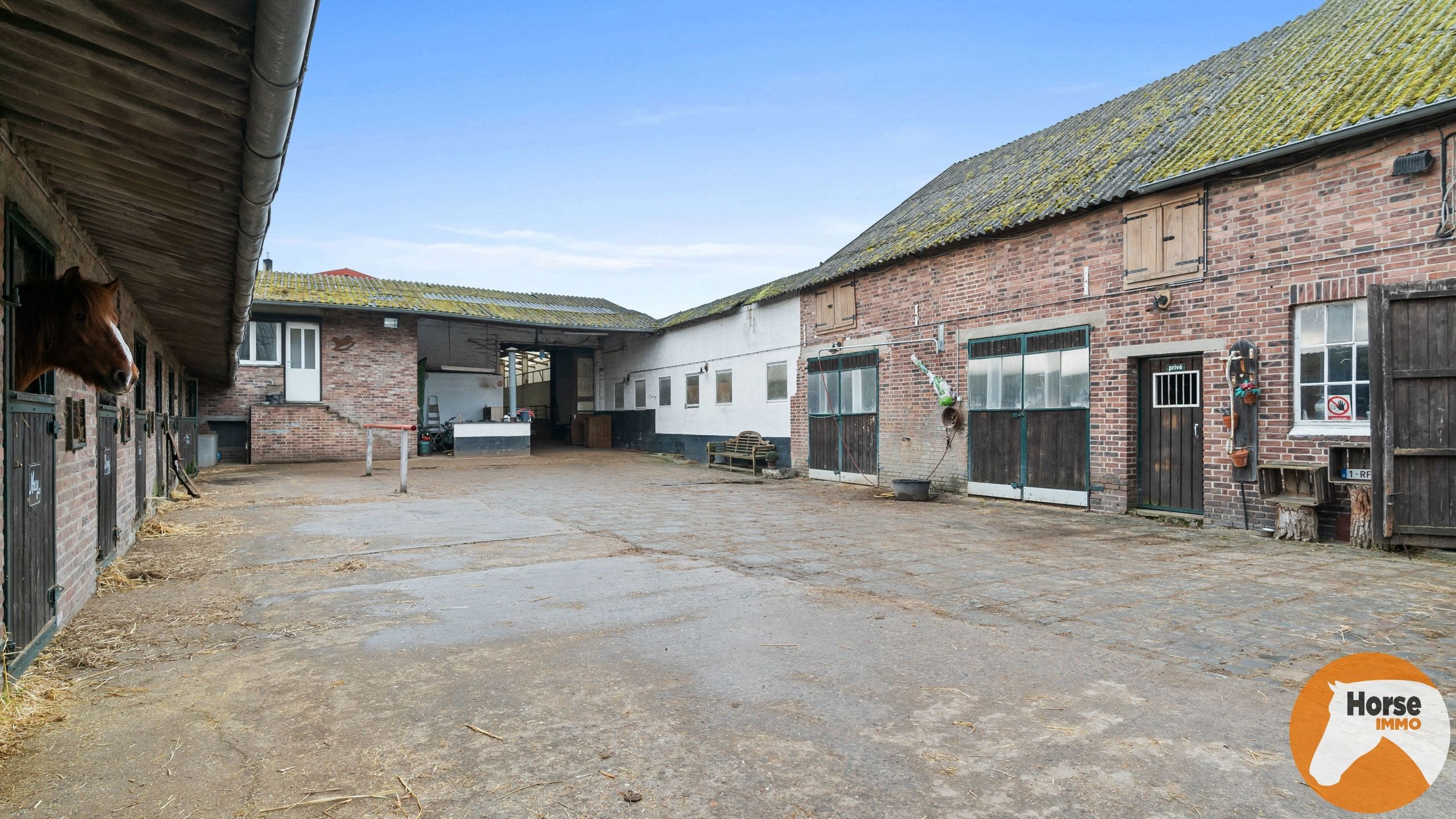 HASSELT (Kortessem) - Manege met veel potentieel! foto 15
