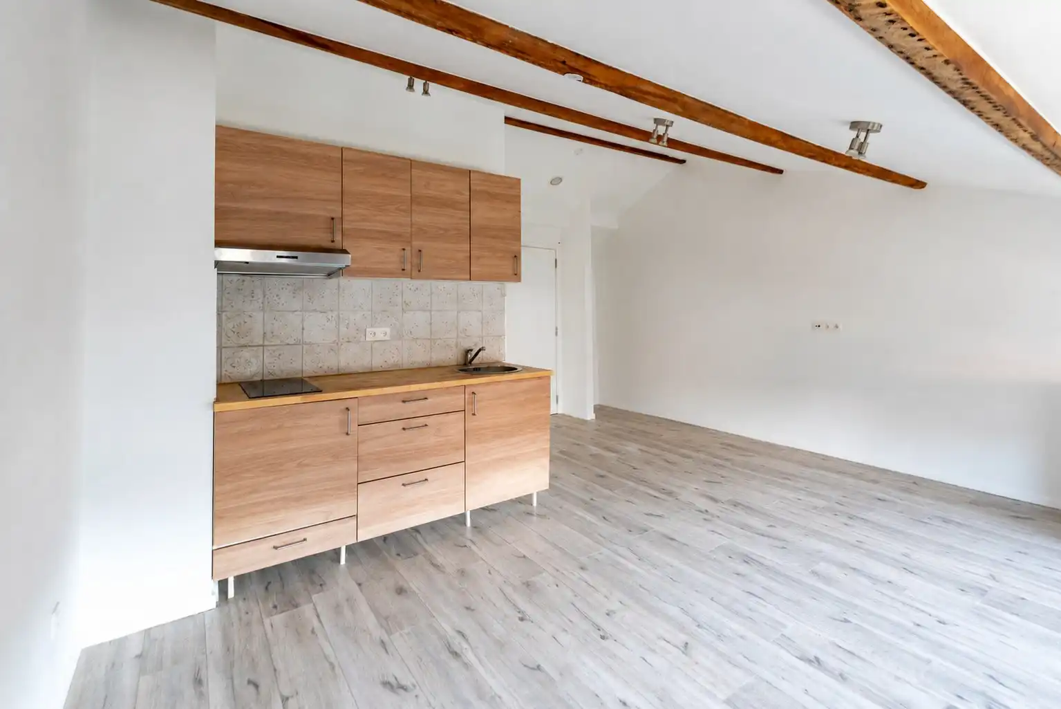 Gerenoveerd appartement nabij Park Spoor Noord foto 2