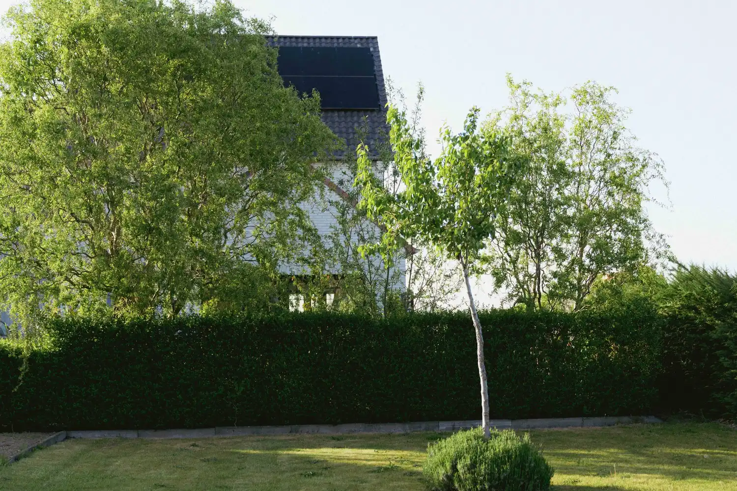 Prachtige villa in pastorijstijl aan de rand van Eeklo foto 36