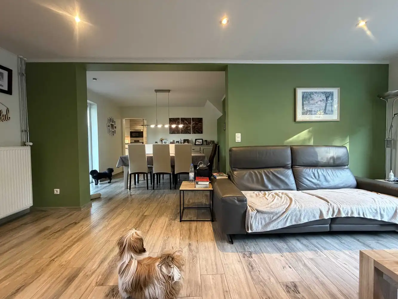 Gerenoveerde woning met 3 slaapkamers aan de oever van de Zuid-Willemsvaart foto 4
