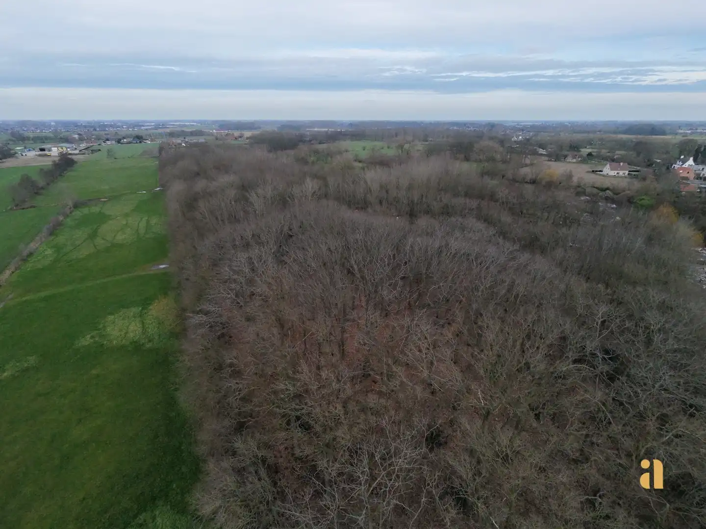 Bosperceel met aangrenzend weiland in landelijke omgeving foto 7