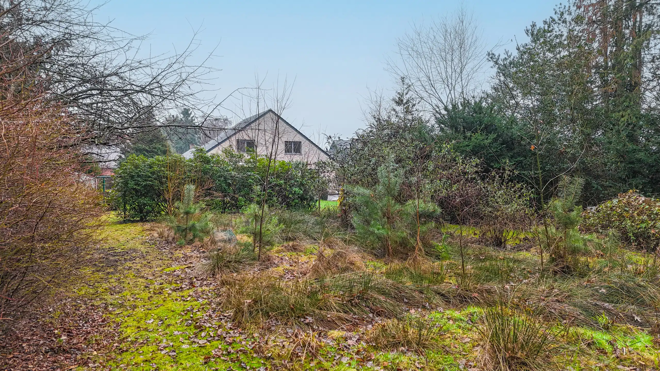 Gezinswoning met ruime garage op riant perceel te Beringen! foto 57