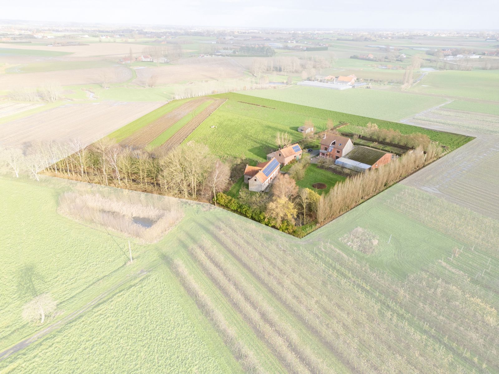 Hoofdfoto van de publicatie: Prachtig gelegen landhuis op 4ha