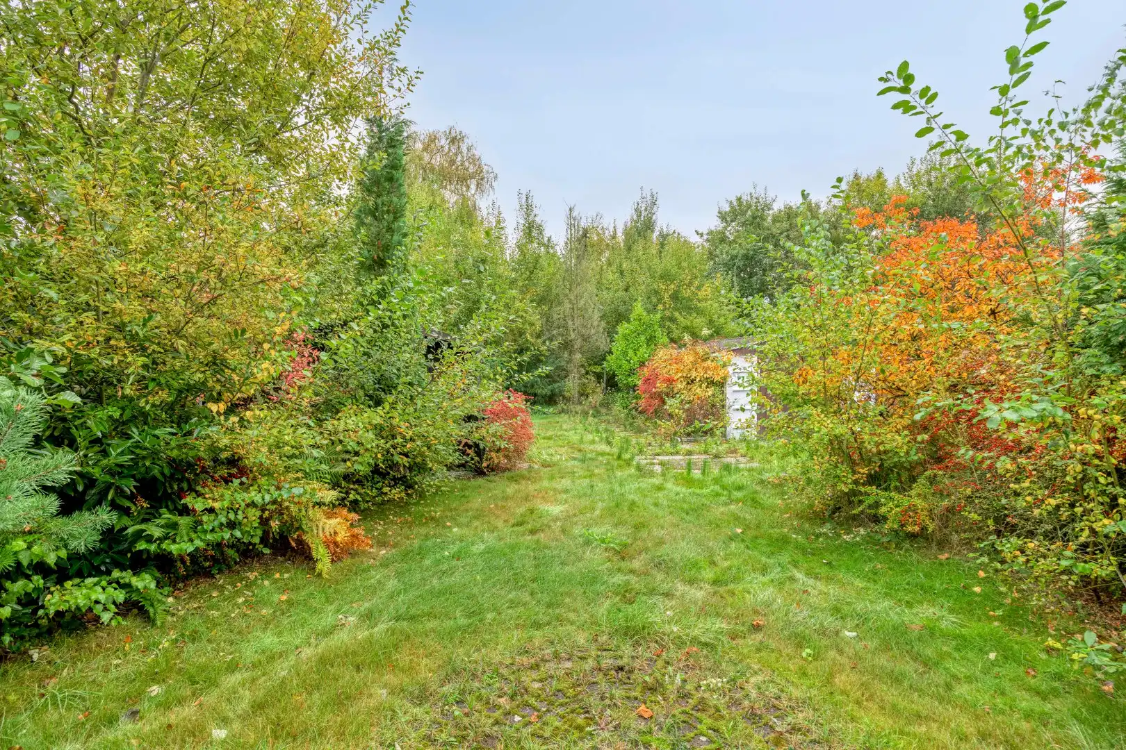 Rustig gelegen te renoveren woning op een mooi perceel van 13 are. foto 22