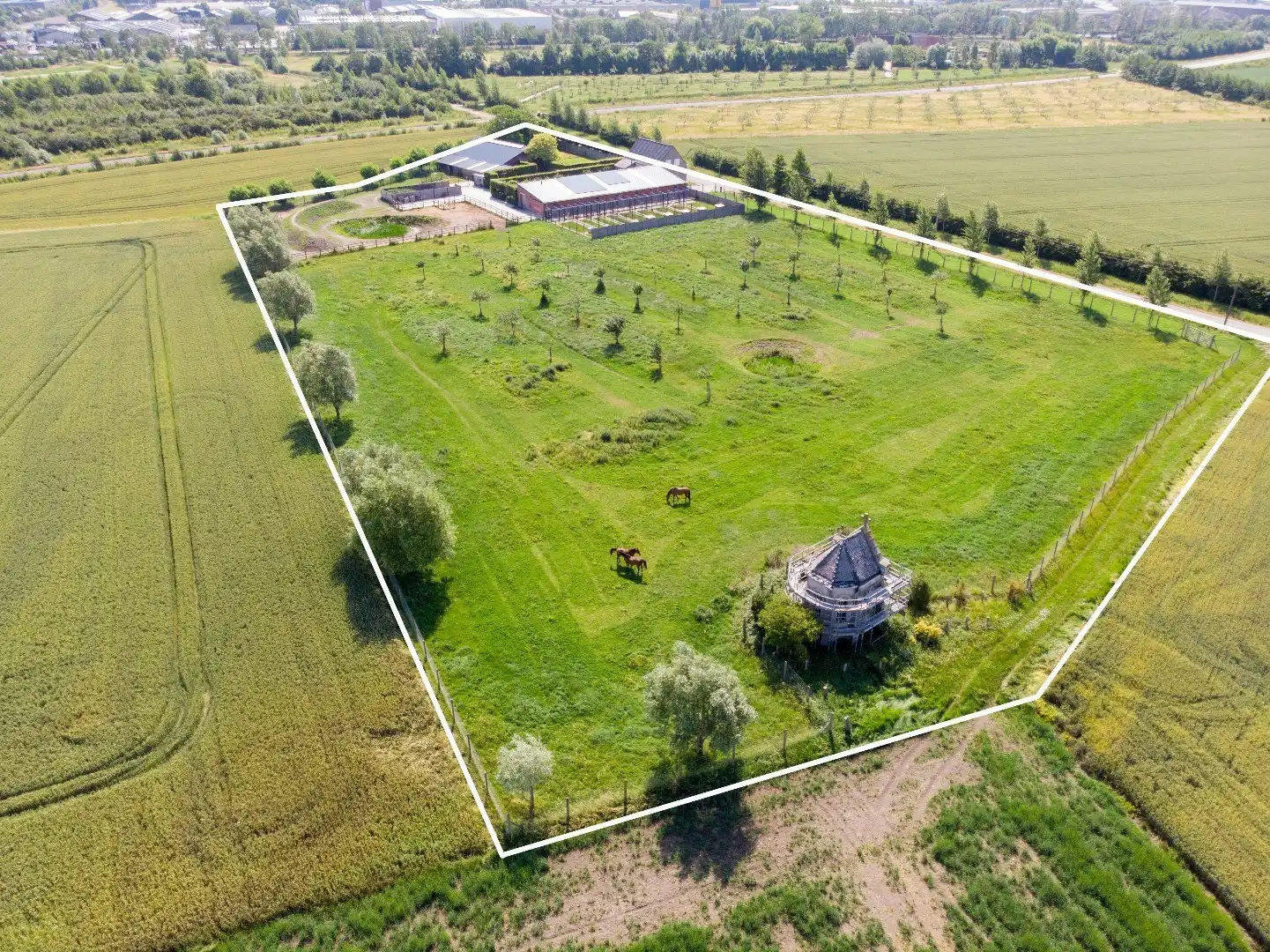 Uniek eigendom met loods, bijgebouwen en weides. foto 28