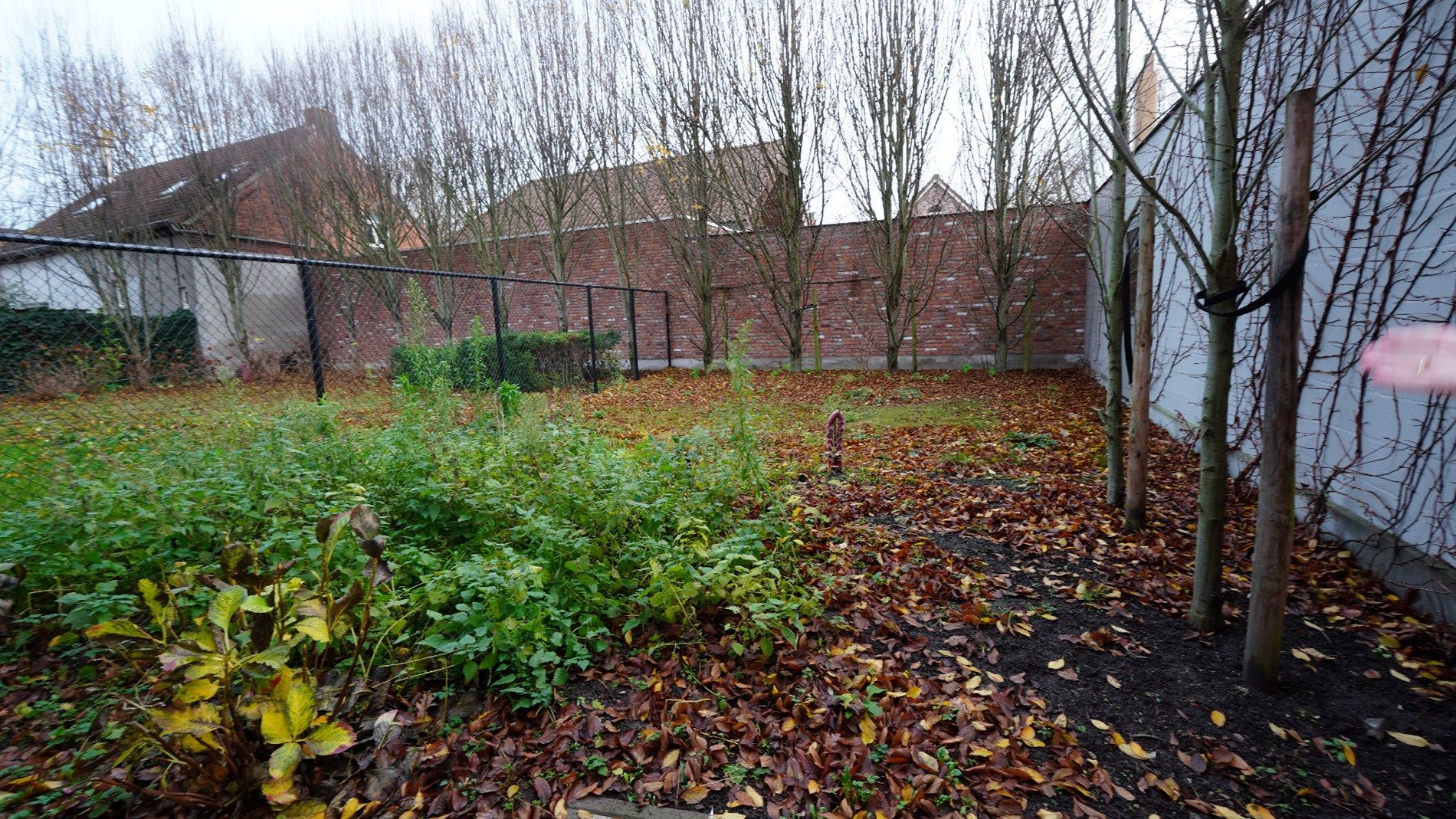 Gelijkvloers appartement met tuin te Zele foto 9