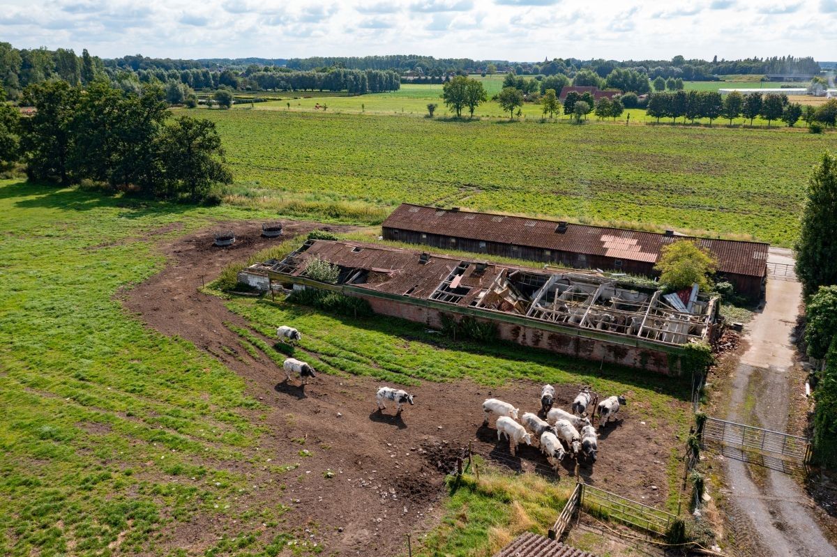 Nabij dorpskern gelegen hoeve te koop te Veldegem foto 11