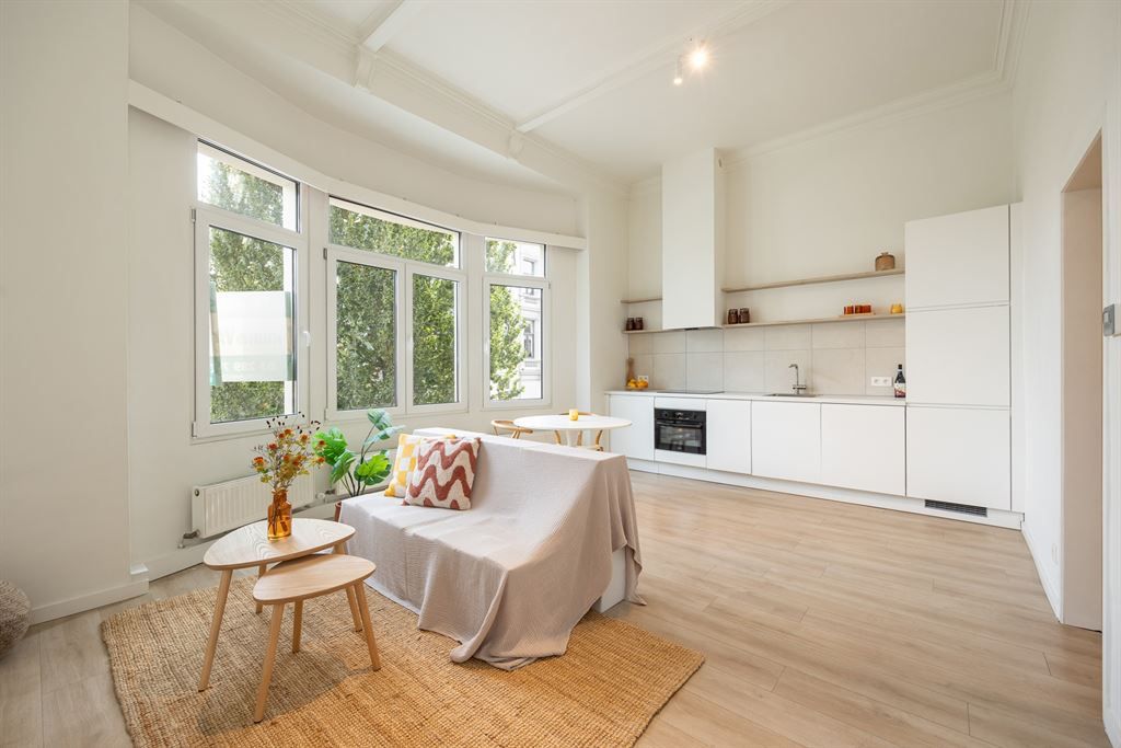 Hoofdfoto van de publicatie: Lichtrijk appartement op het bruisende Zuid