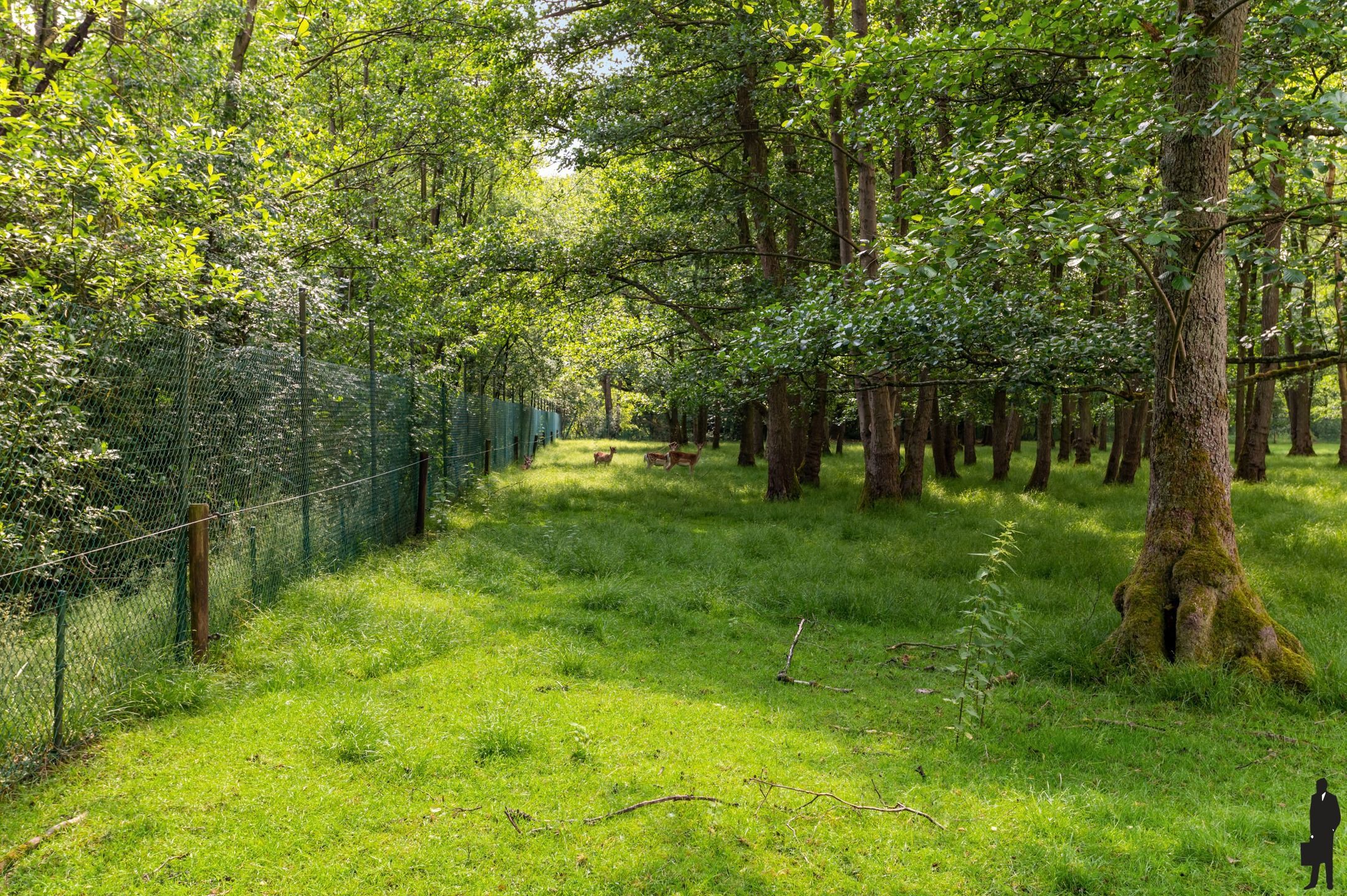 Bouwgrond - uniek domein op einde van een doodlopende straat foto 27