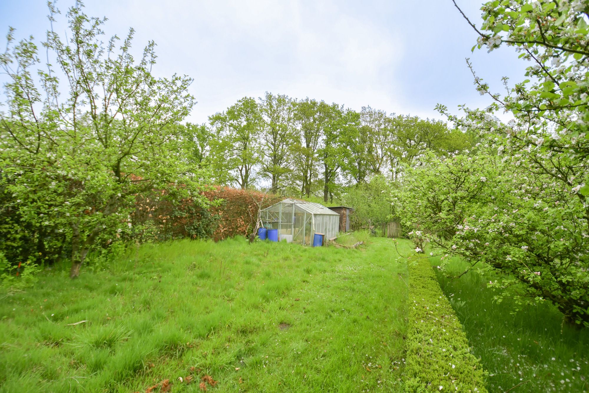 GOED GELEGEN WONING met prachtige idyllische tuin en uitweg op een perceel van 2034 m² met landelijke uitzichten foto 26
