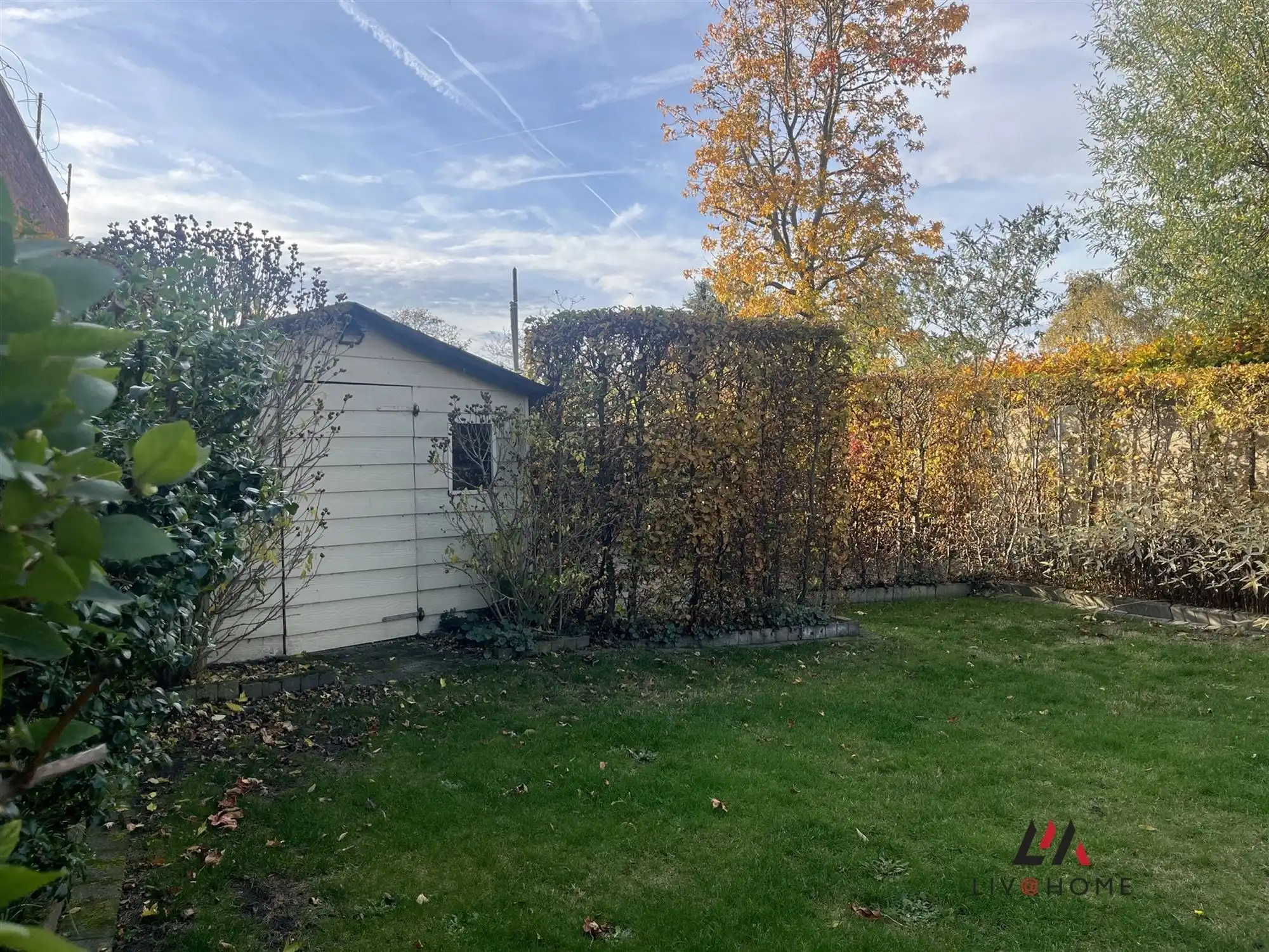 RUIME WONING - BORGERSTEINLEI foto 4