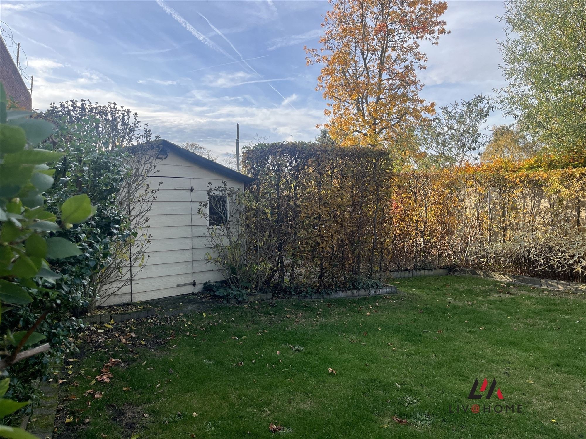 RUIME WONING - BORGERSTEINLEI foto 4