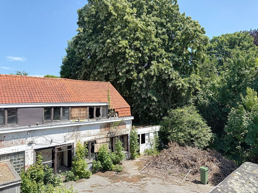 Herenhuis met bijgebouwen en uitgestrekte tuin. foto 5