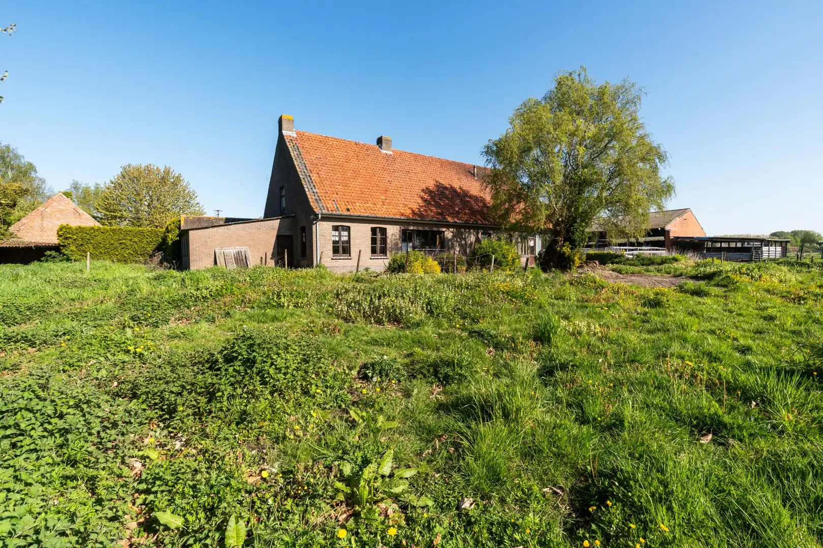 Authentieke hofstede op ca. 5,5 hectare – een oase van rust, groen en ruimte foto 11