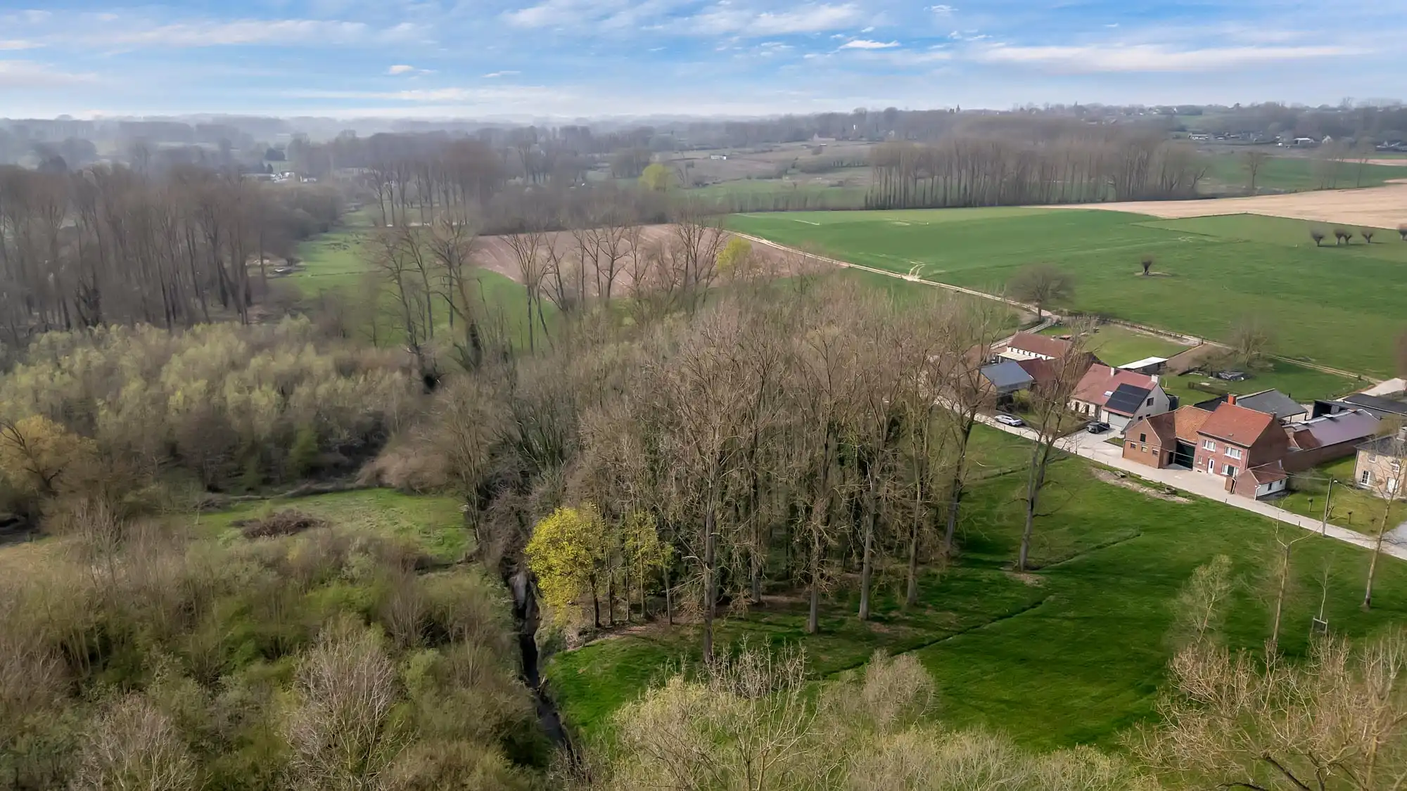 Perceel bosgrond op rustige locatie foto 3