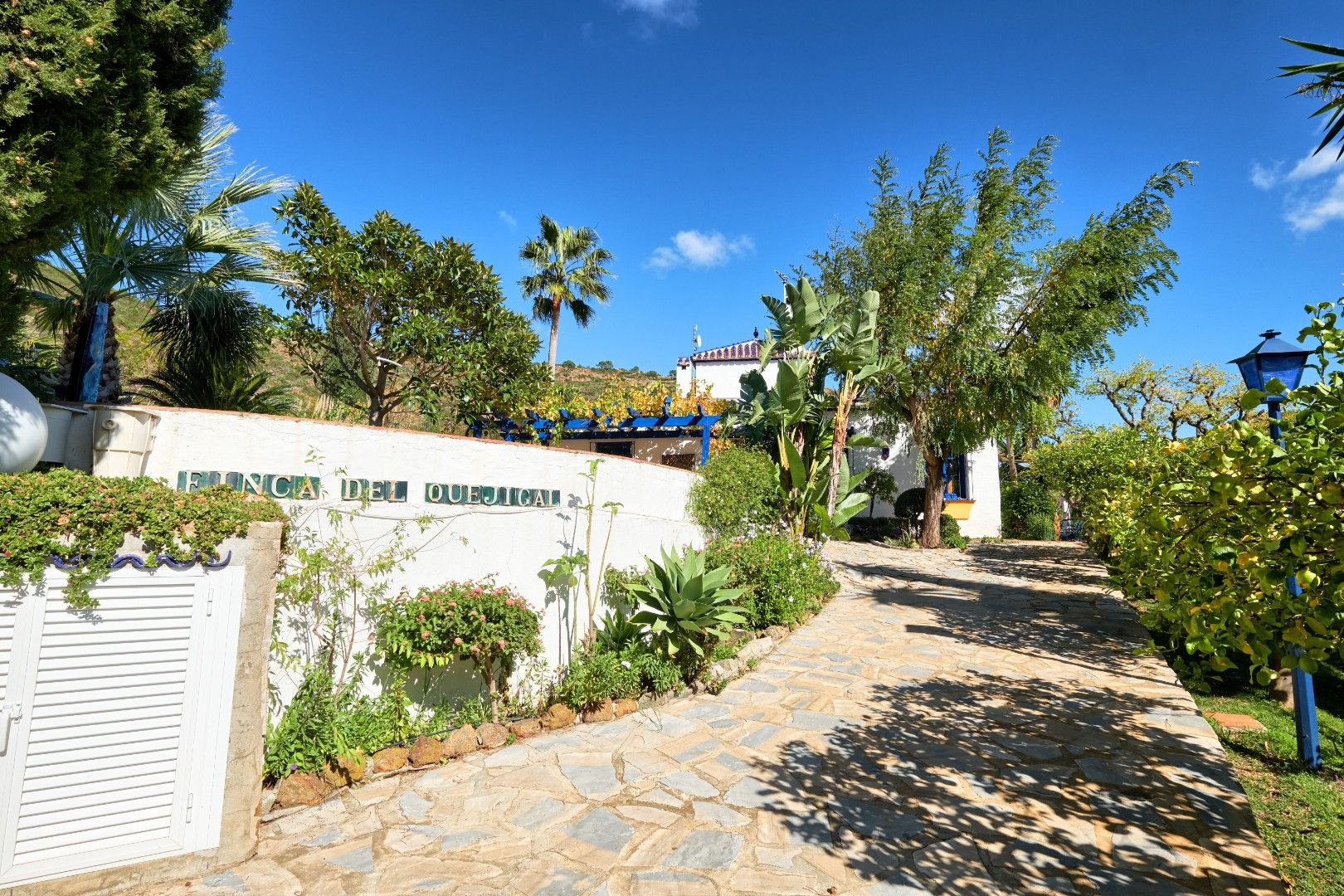 Finca dicht bij de Sierra Bermeja berg.  foto 37