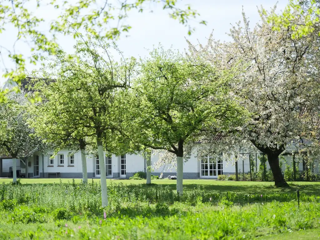 Karaktervol landhuis met zwembad en poolhouse op ca. 4.090 m², nabij het kasteel van Laarne foto 27