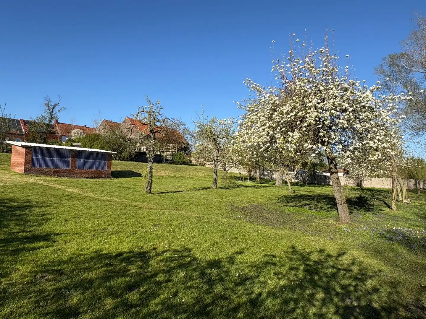 Eclectisch burgerhuis met landelijke verzichten op 2659 m² in centrum Kuurne. foto 5