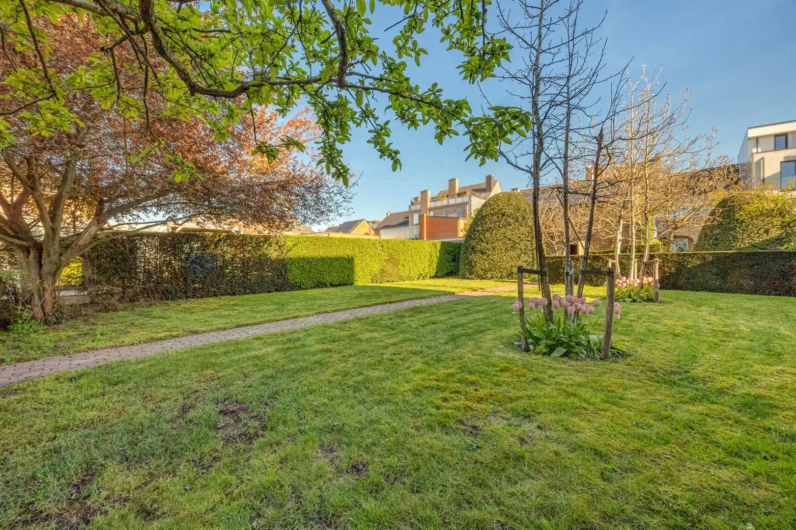 Woning met praktijk, bijgebouw en tuin in Beerzel-dorp! foto 2