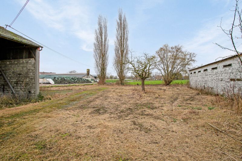 Uniek domein op 1 hectare in Landegem foto 9