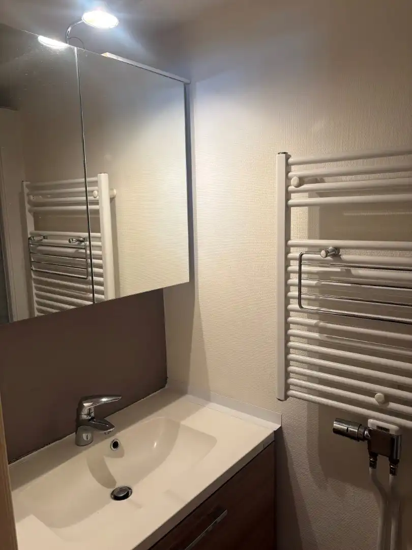 Lichtrijk knus appartement met 1 slaapkamer, niet gemeubeld foto 11