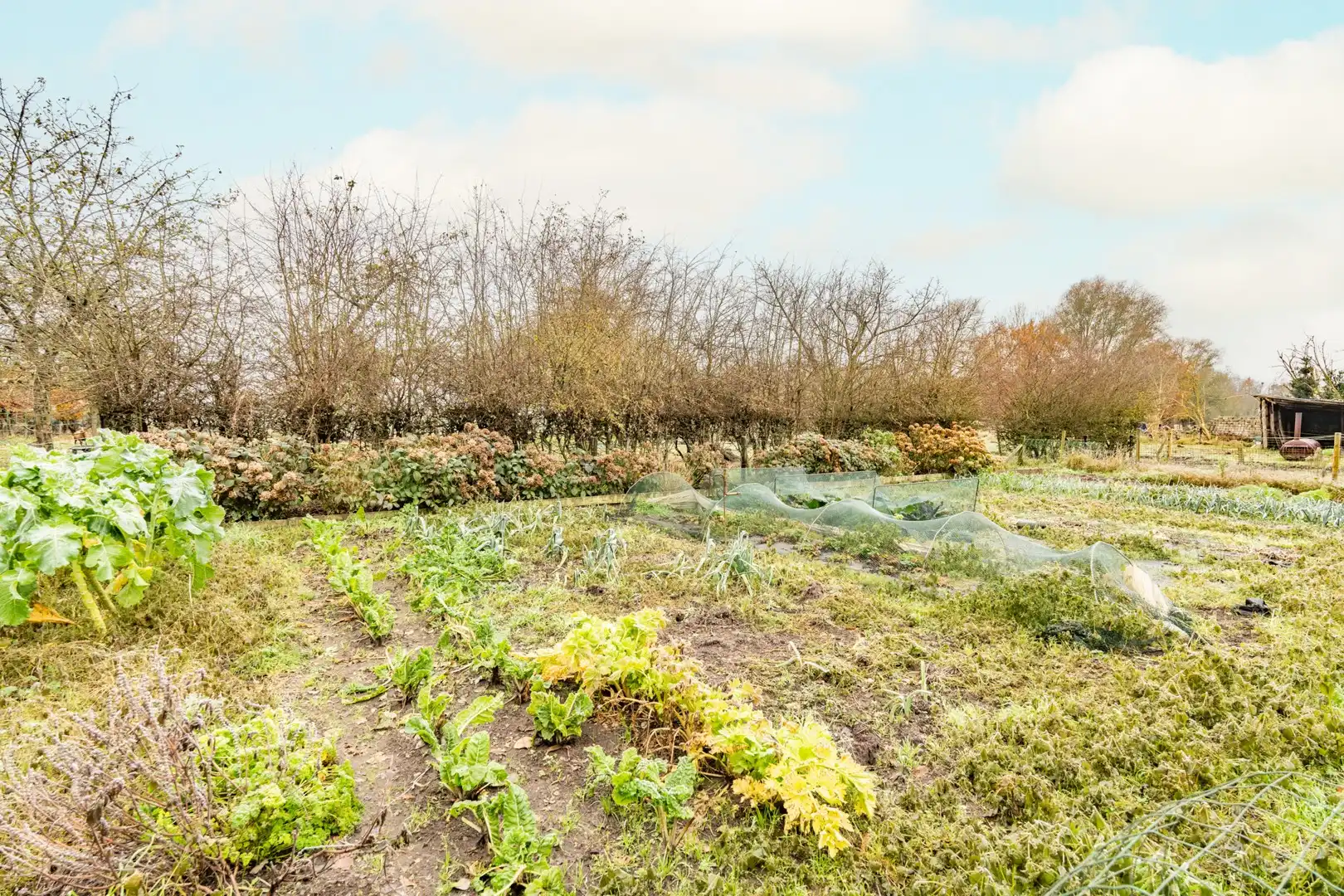 Uitzonderlijk gelegen hoeve op 3,5 ha foto 7