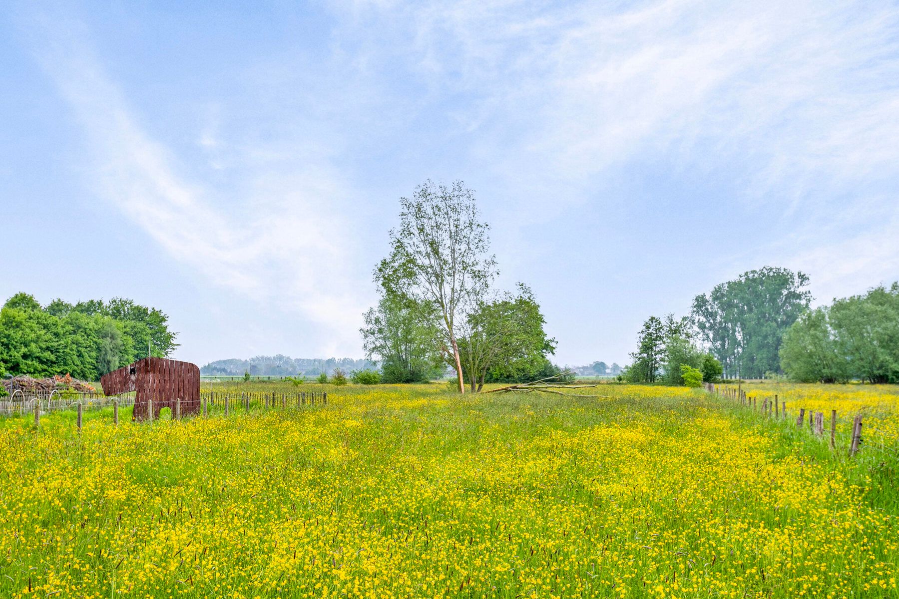 Bungalow met prachtig zicht te Herent. foto 6