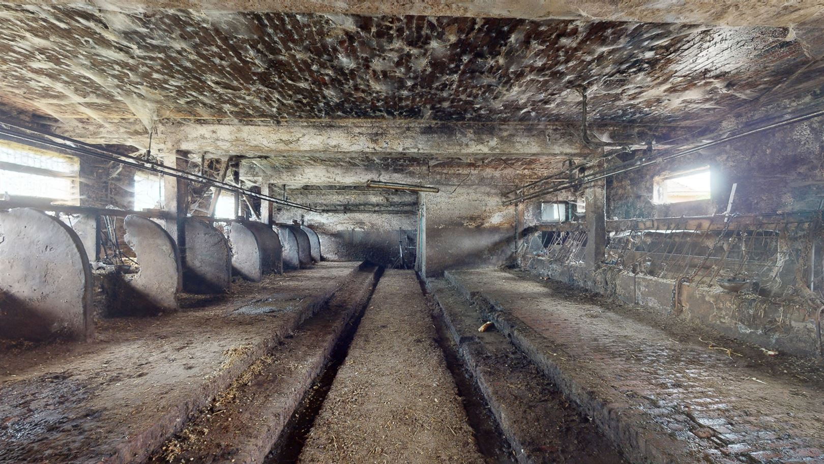 Boerderij met iets meer dan 38ha grond foto 41