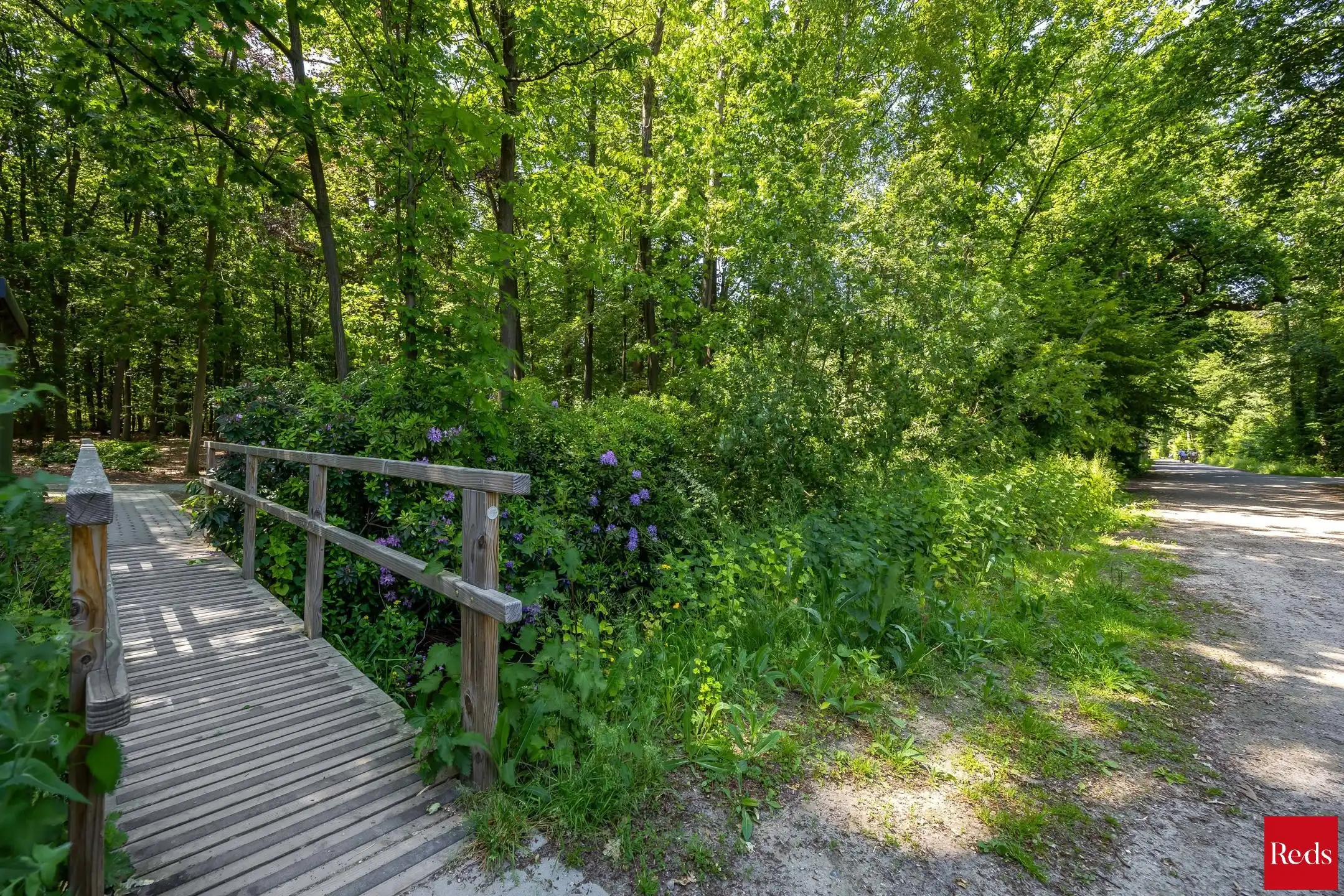 Villa met zwembad omringd door natuur en maximale privacy foto 35