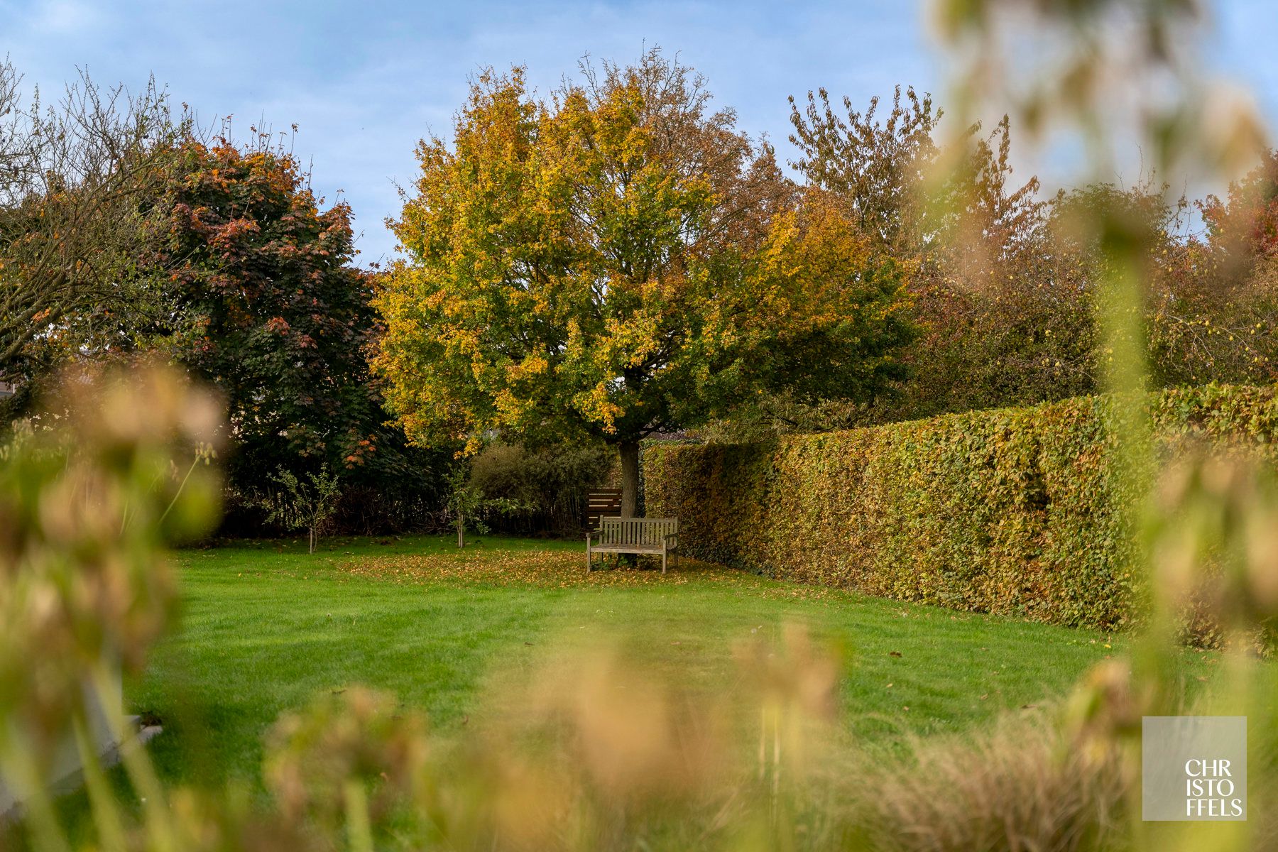 Uitzonderlijke villa van 320m2 gelegen in het pittoreske Leut, op een boogscheut van de Maas! foto 35